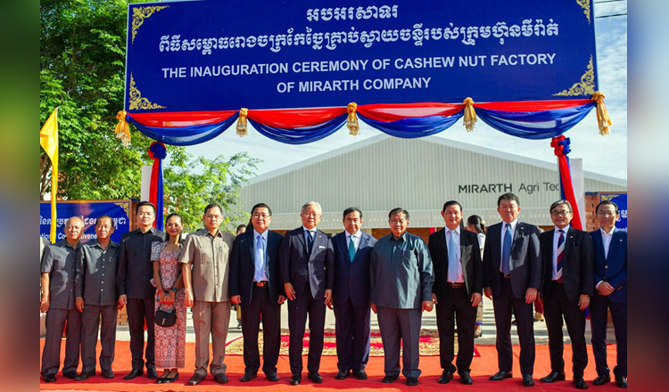Cashew processing and cashew shell-extracted biomass fuel plant launched in Kampong Thom Province
